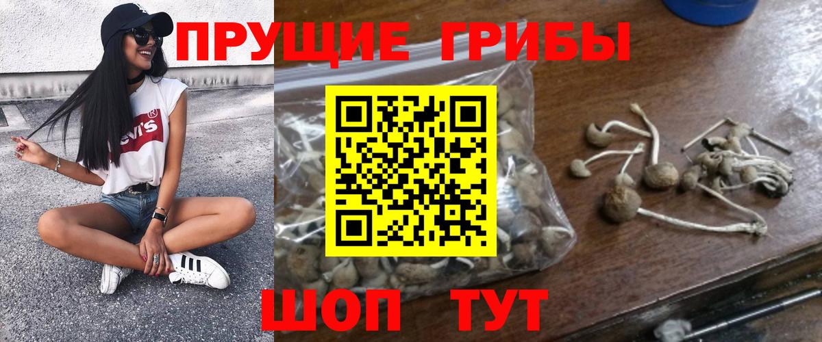 хочу наркоту  Псилоцибиновые грибы мицелий  Томск  Вход с VPN  Псилоцибиновые грибы MAGIC MUSHROOMS 