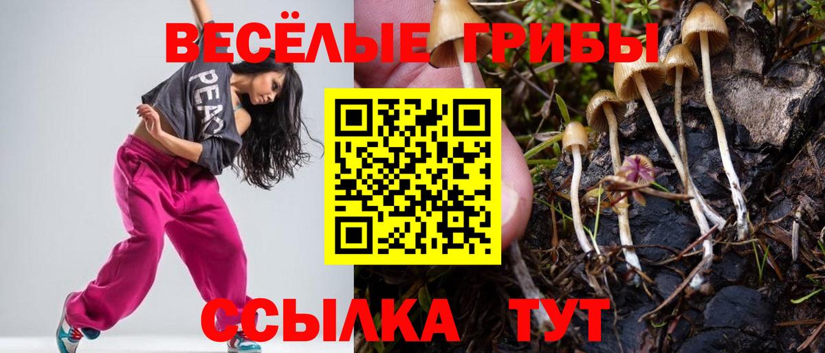 Псилоцибиновые грибы мухоморы Томск